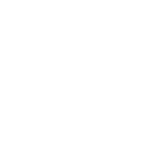 Local Lane Co
